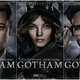 Illustration for article titled New emGotham/em Posters Are Great Except For Poison Ivys Terrible New Name
